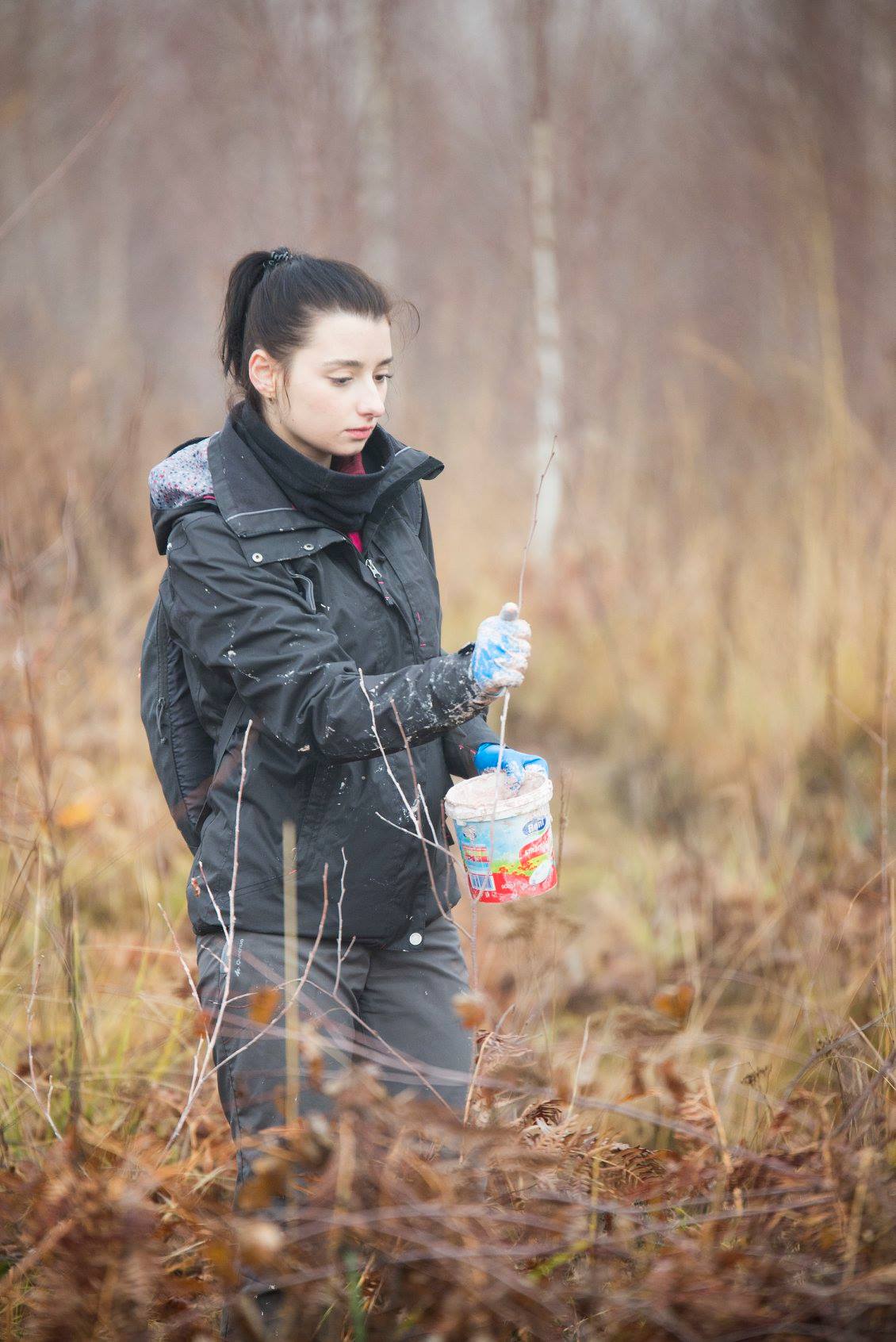 Arpasu Iarna 2018 Preview 1